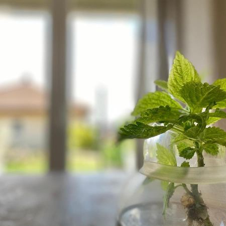 Apartmenthaus Luett Meer Ludorf Exteriör bild