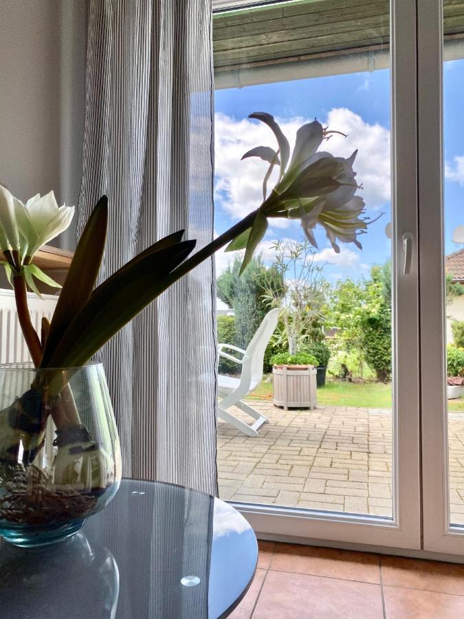 Apartmenthaus Luett Meer Ludorf Exteriör bild