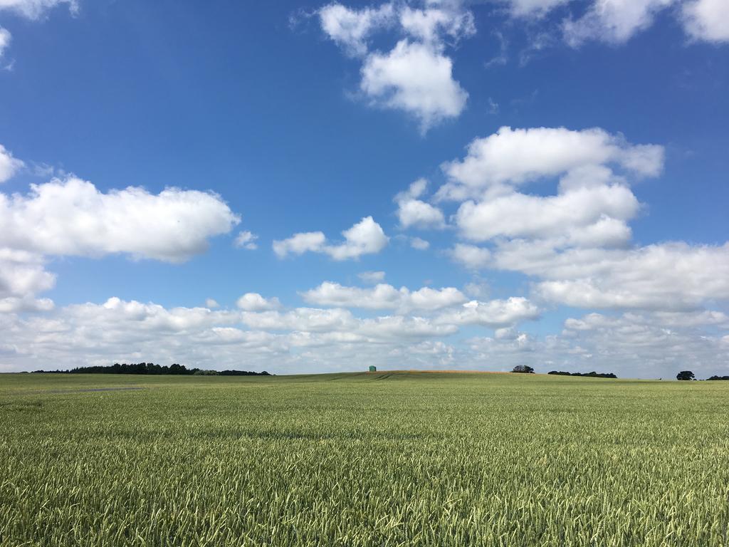 Apartmenthaus Luett Meer Ludorf Exteriör bild