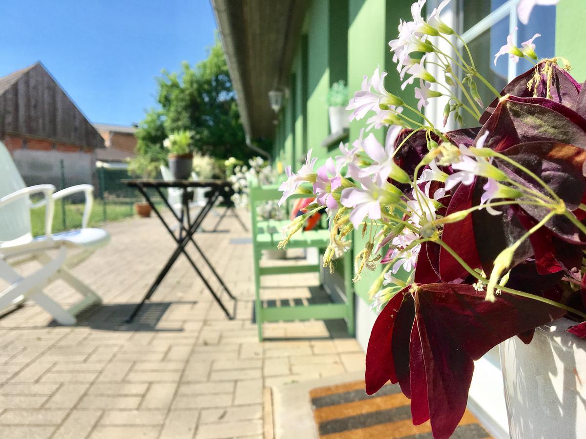 Apartmenthaus Luett Meer Ludorf Exteriör bild
